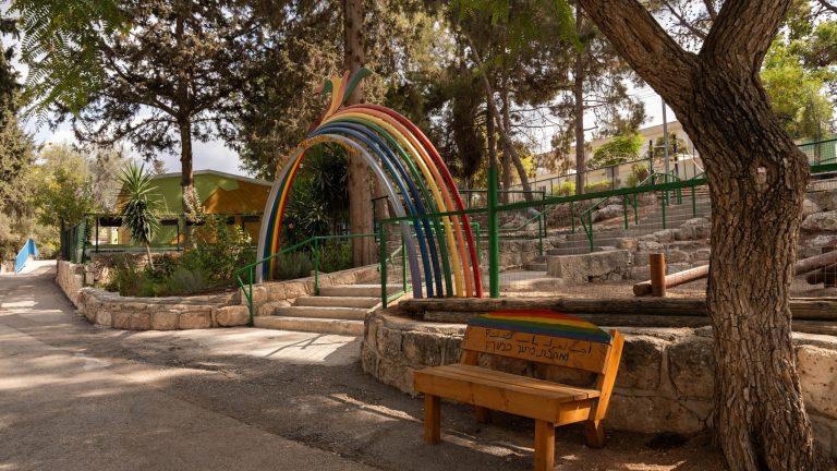 Oasis of Peace STILL