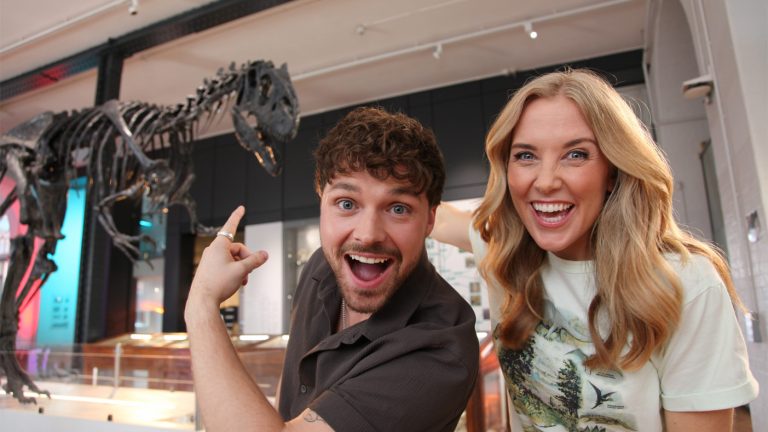 DINO NEW